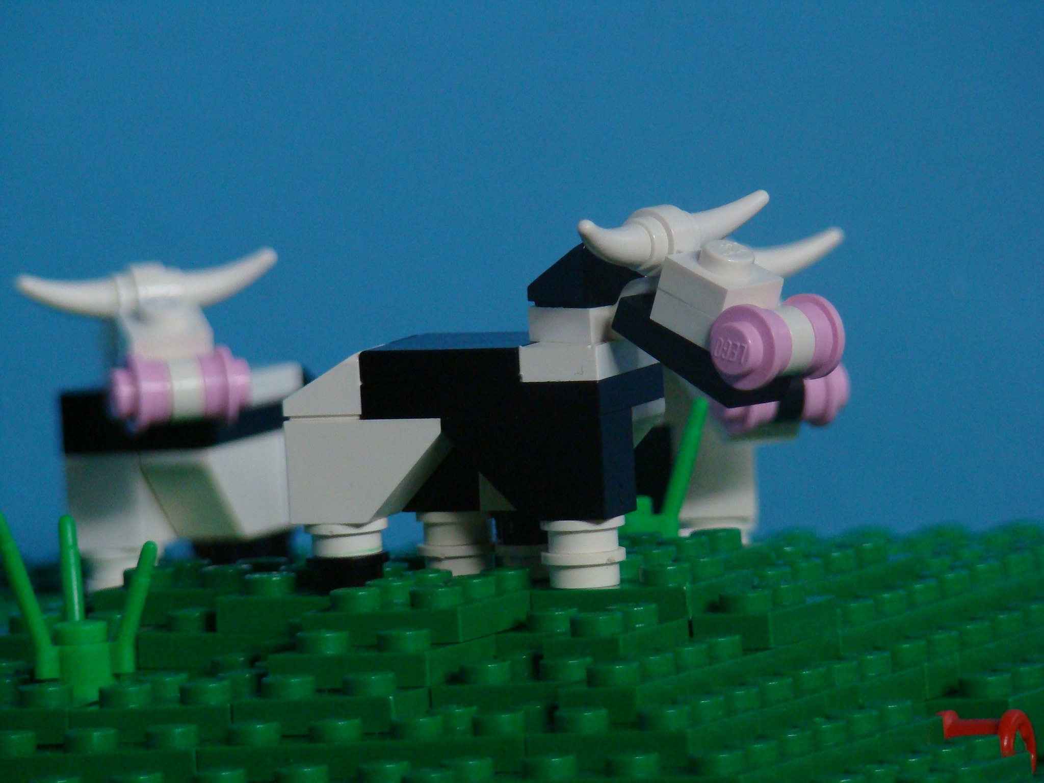 03cow.jpg