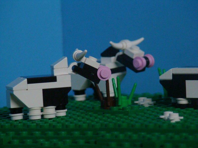 04cow.jpg