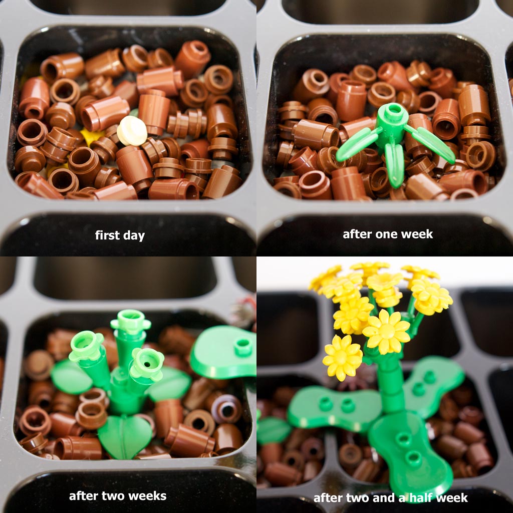 gardening2.jpg