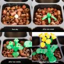 gardening2.jpg