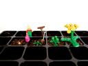 gardening3.jpg