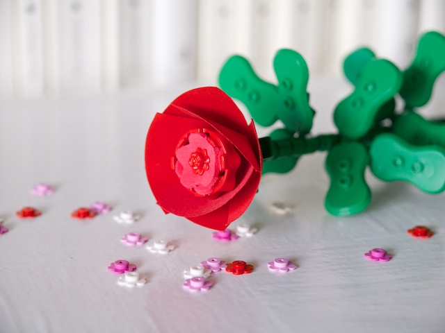rose1.jpg
