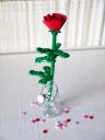 rose3.jpg