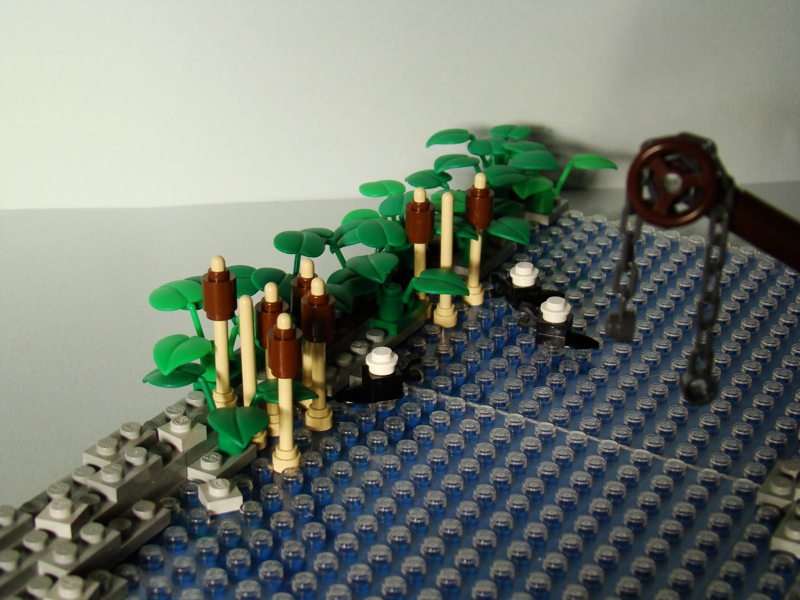 06uninvolvedducks.jpg