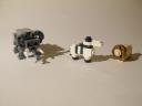 MicroAnimals