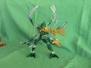 toa_tortara.jpg