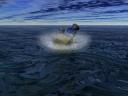 splash.jpg