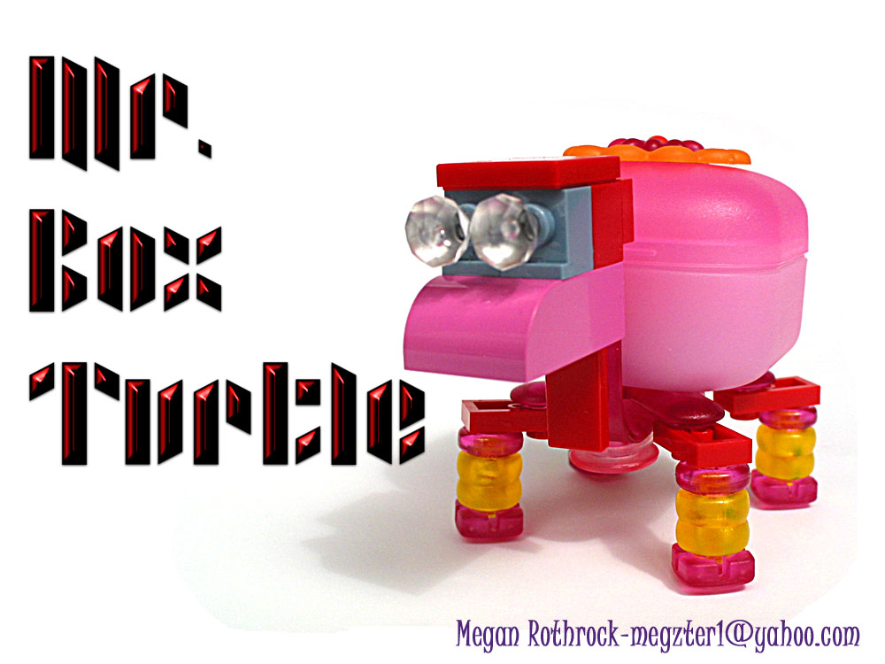 01mrboxturtle.jpg