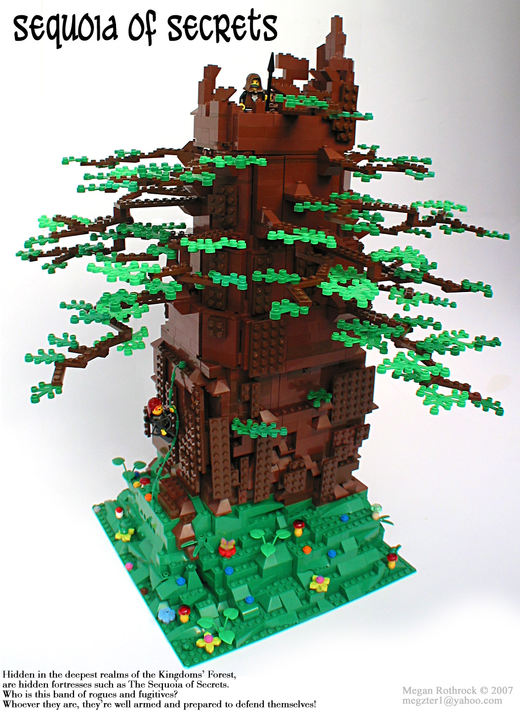 01sequoia.jpg
