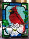 cardinal01.jpg
