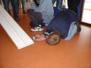 dsc00149web.jpg