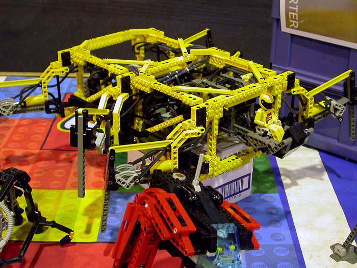 2004_walker_2.jpg