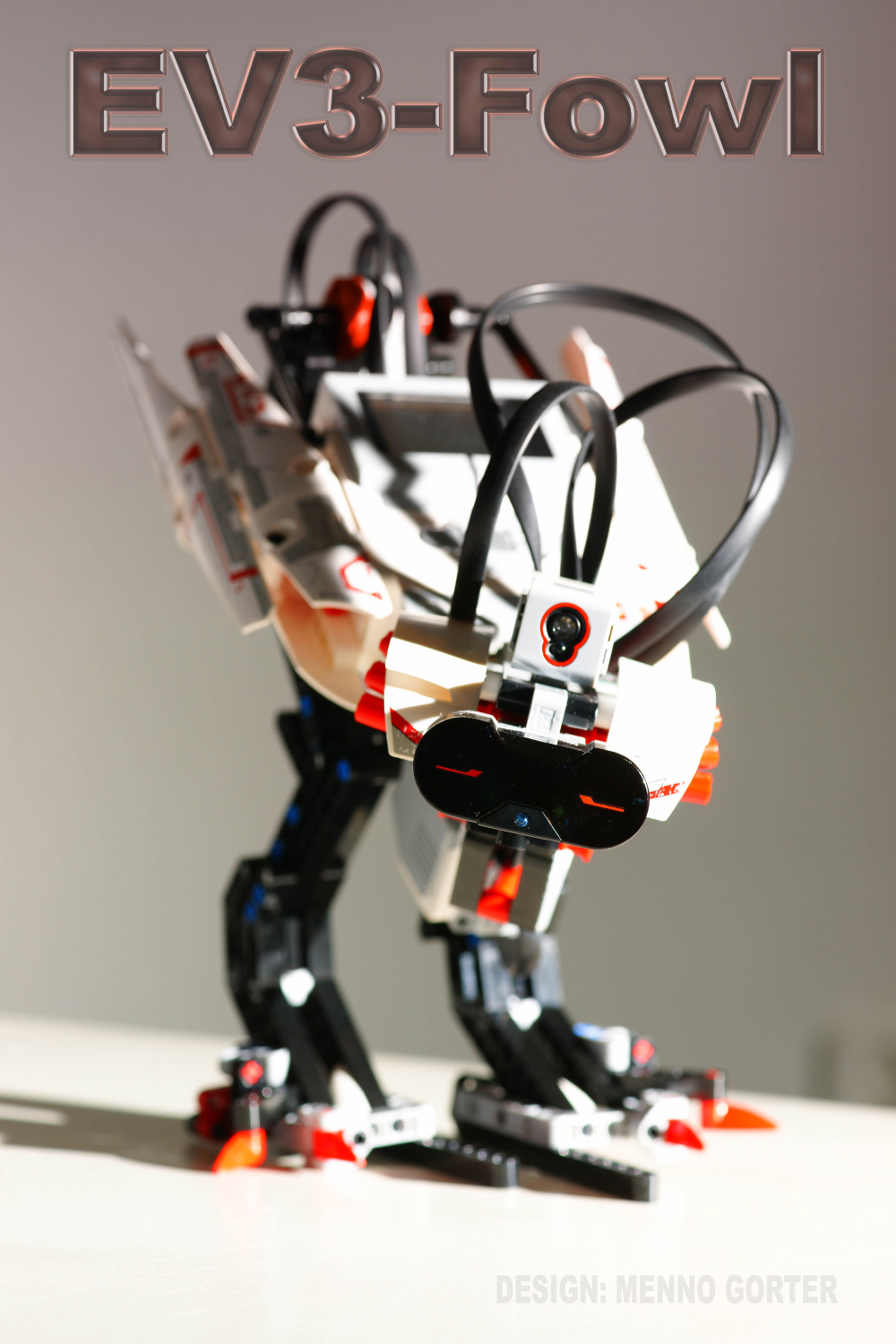 ev3-fowl_poster_small.jpg