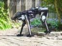 2007-NXT-Coyote