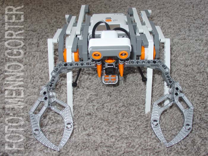2006___nxt_crab___front.jpg