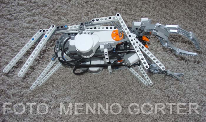 2006___nxt_crab__side.jpg