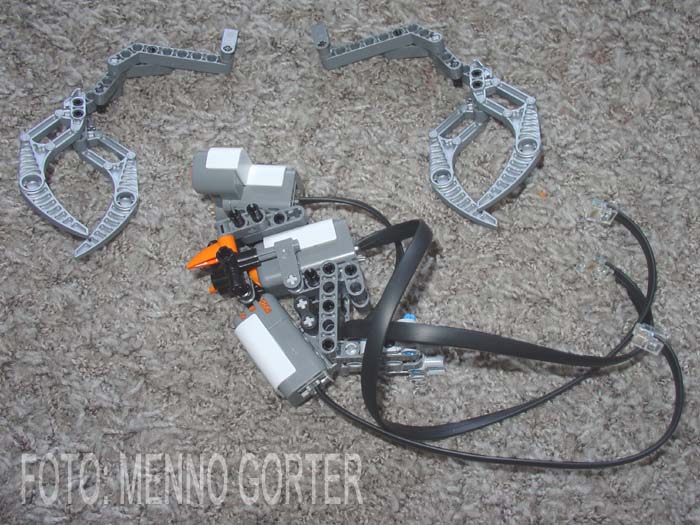 2006_nxt_crab_head.jpg