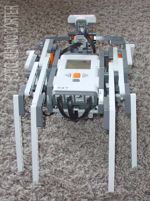 _2006___nxt_crab__back.jpg
