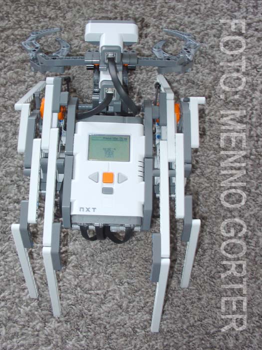 _2006___nxt_crab__top.jpg