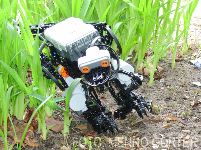 2006_nextosaurus_2.jpg