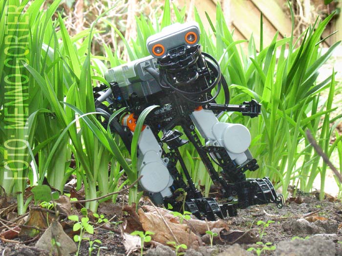 2006_nextosaurus_3.jpg