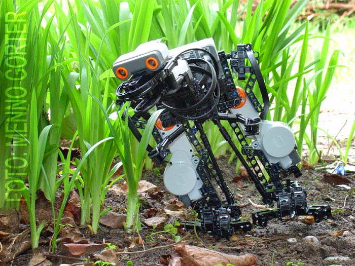 2006_nextosaurus_5.jpg