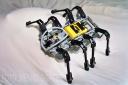 2002-RCX-Spider-1