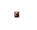 new_bitmap_imag.bmp