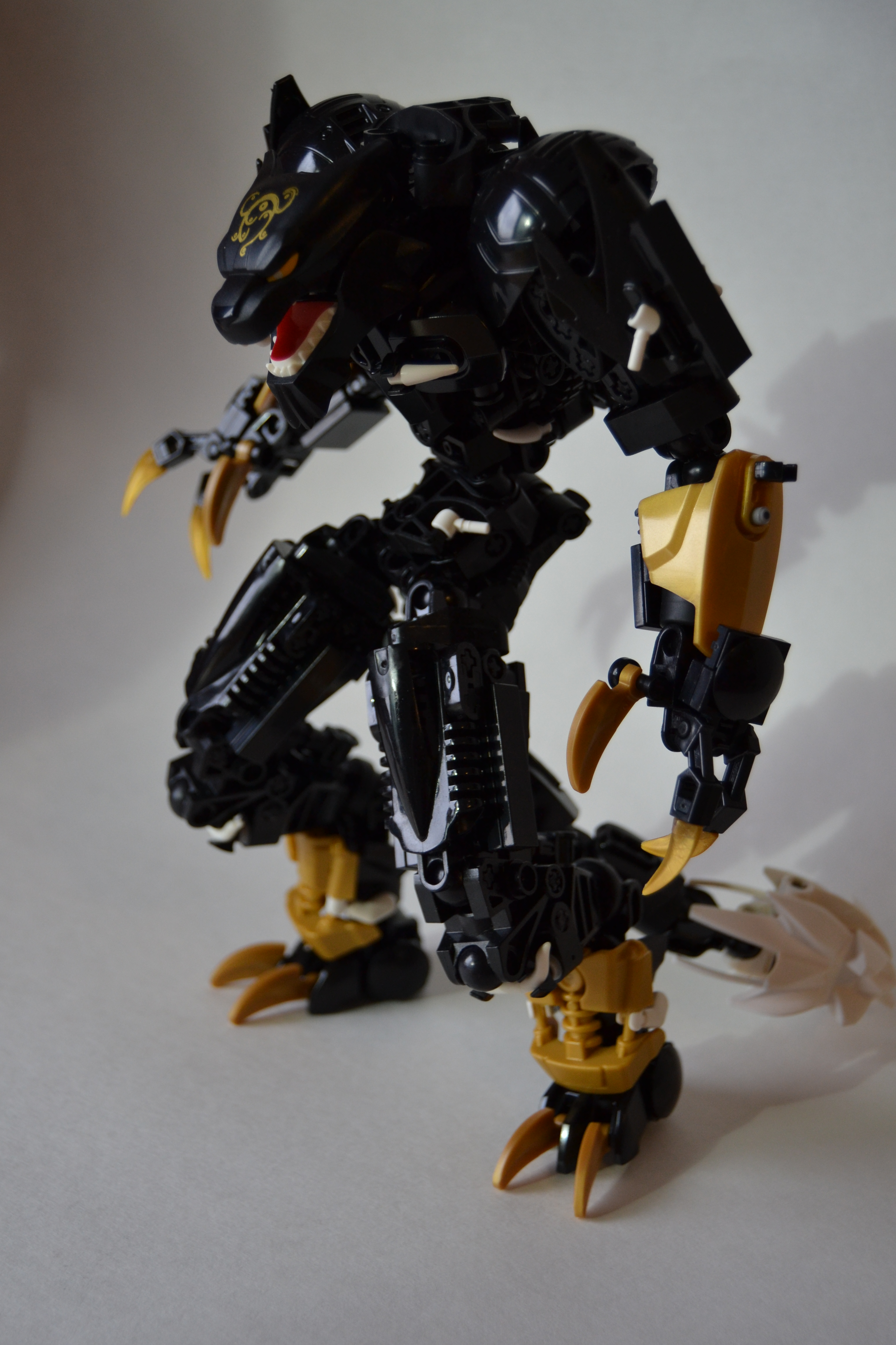 dsc_0007.jpg