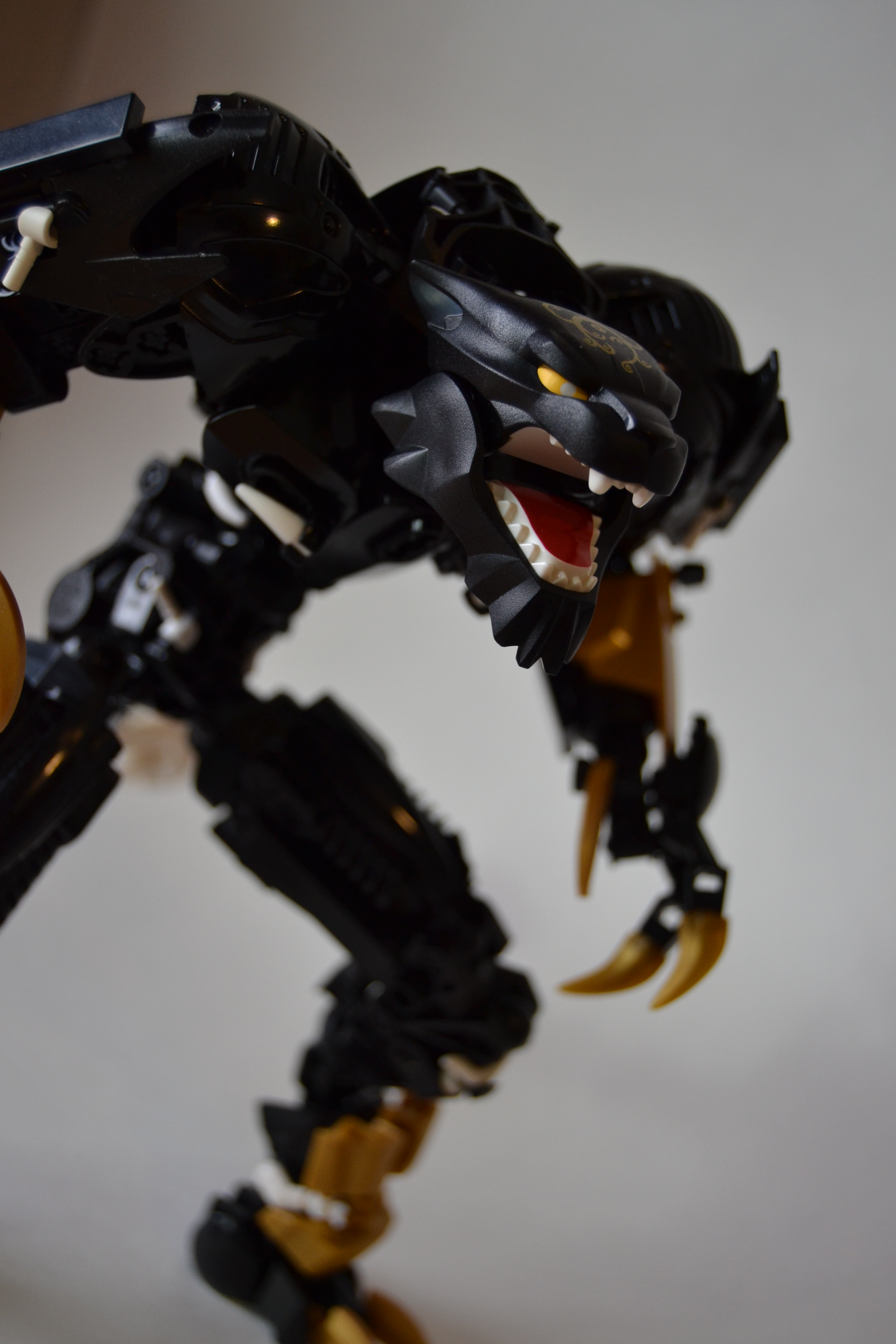 dsc_0012.jpg