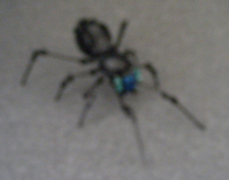 black-widow_02.jpg