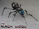 Black-Widow