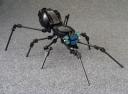 black-widow_01.jpg