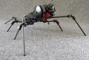 black-widow_04.jpg