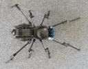 black-widow_07.jpg
