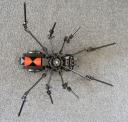 black-widow_08.jpg