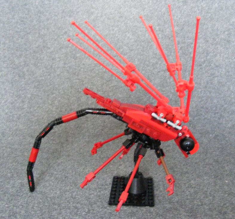 red-dragonfly_v1_05.jpg