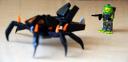 5_atlantyda_crab.jpg