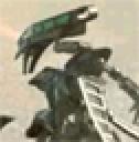 vahkiicongggtr.gif