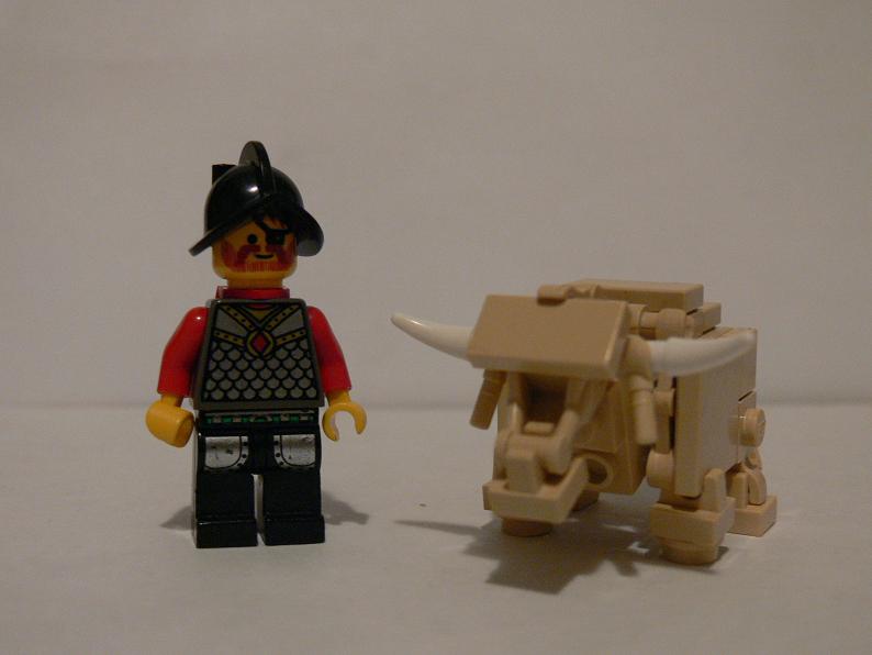 cow3.jpg