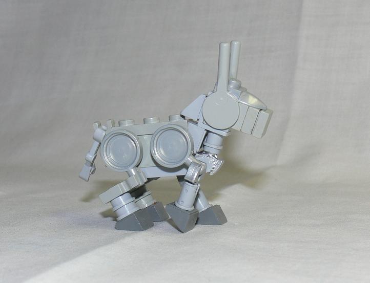 donkey1.jpg