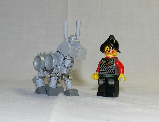 donkey2.jpg