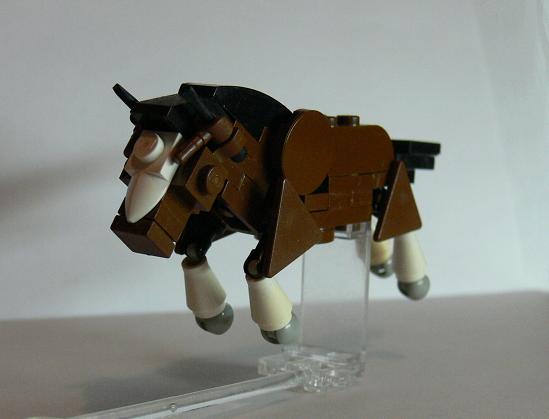 horse4.jpg