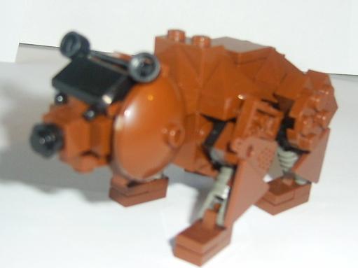bear11.jpg