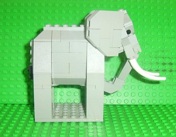 elephant13.jpg