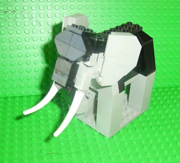 elephant16.jpg