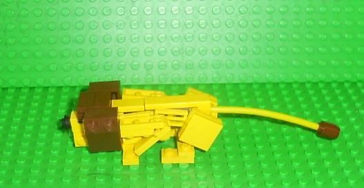 lion13.jpg