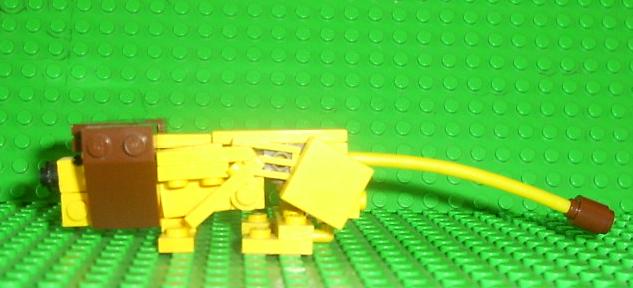 lion14.jpg