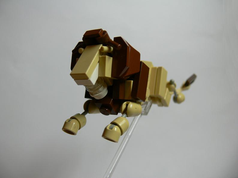 lion3.jpg