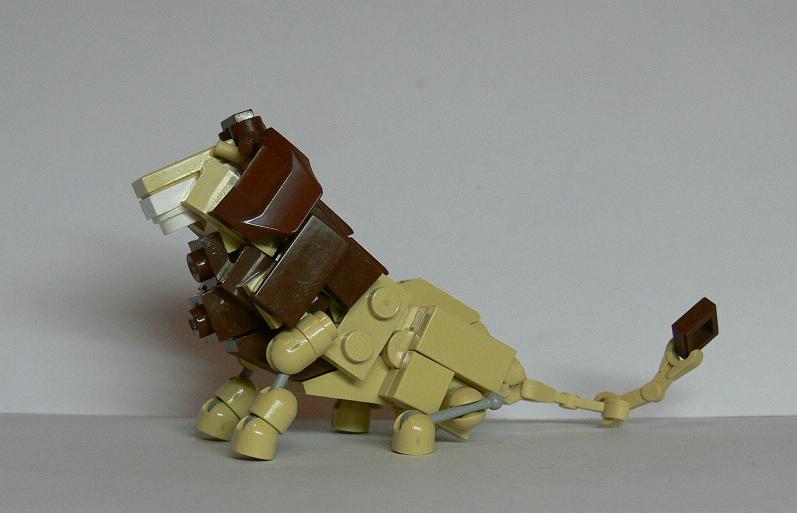 lion4.jpg